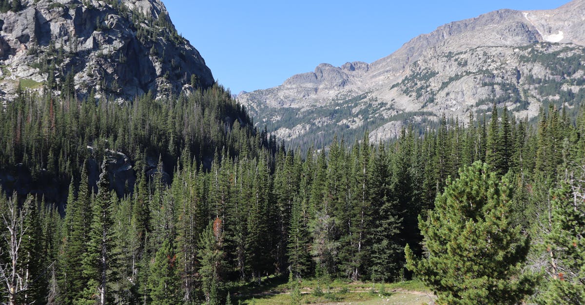 découvrez l'éco-tourisme : une manière responsable et durable d'explorer la nature tout en préservant l'environnement. plongez dans des expériences authentiques et respectueuses des écosystèmes, alliant aventures en plein air et sensibilisation à la conservation.