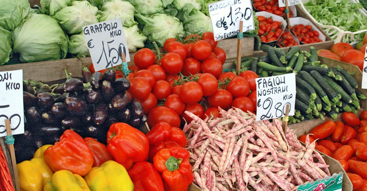 découvrez comment construire une économie locale durable qui favorise le développement communautaire, soutient les artisans et préserve l'environnement tout en renforçant les liens entre les habitants.