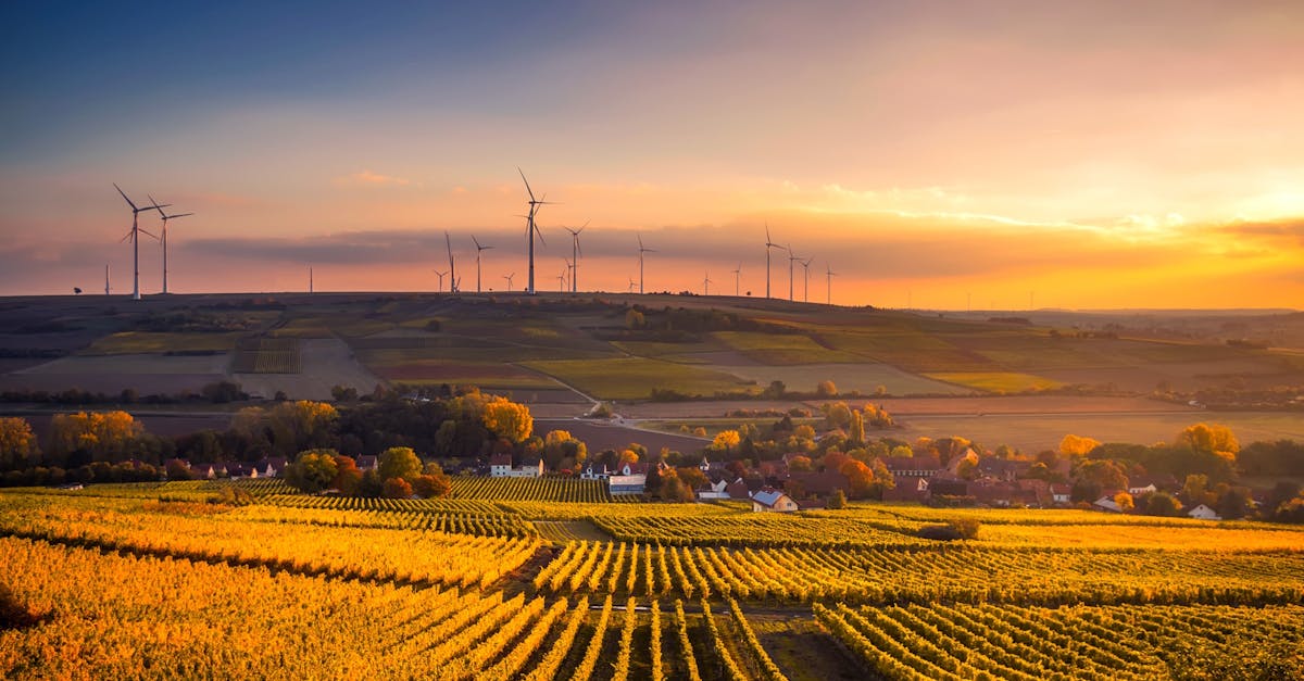 découvrez l'importance de la durabilité dans notre monde moderne. des pratiques respectueuses de l'environnement aux initiatives éco-responsables, explorez comment chacun peut contribuer à un avenir durable.