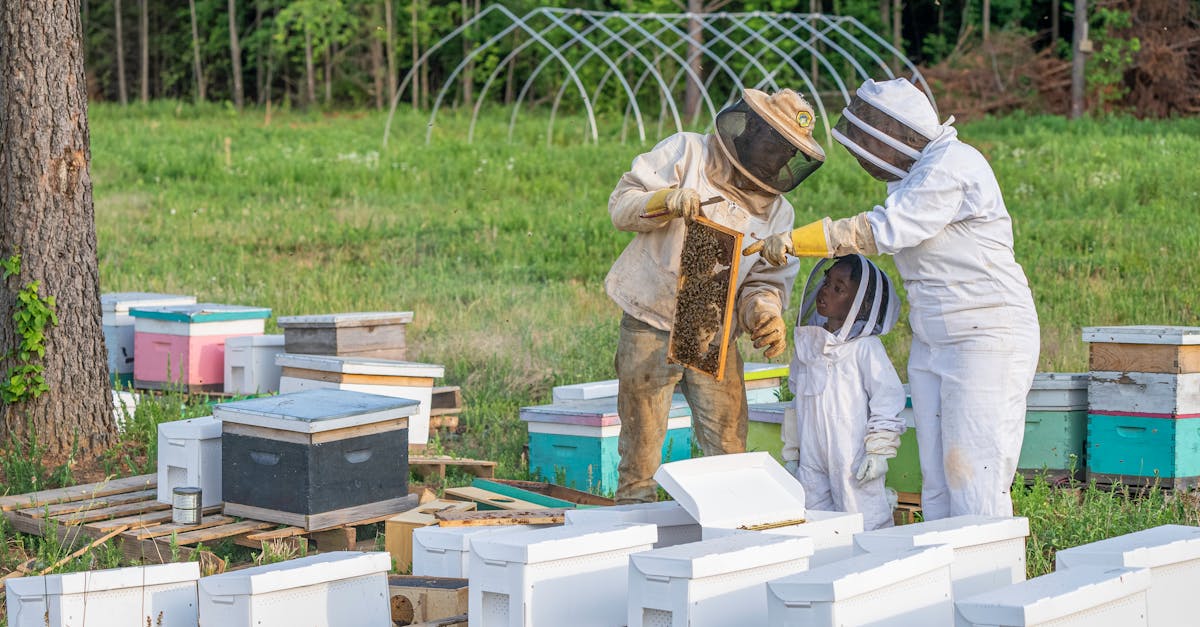 découvrez l'importance de l'éducation environnementale pour sensibiliser les individus et les communautés à la protection de notre planète. explorez des ressources, des programmes et des initiatives visant à promouvoir un mode de vie durable et à encourager la responsabilité écologique.