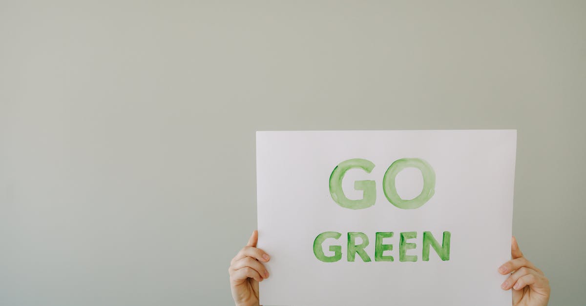 découvrez l'économie verte, un modèle durable qui allie croissance économique et protection de l'environnement. explorez les innovations et les initiatives qui transforment nos sociétés vers des pratiques plus écologiques et responsables.