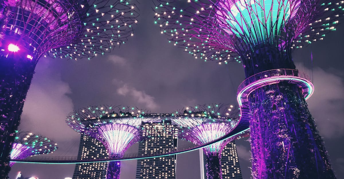 découvrez comment l'innovation durable transforme notre avenir grâce à des solutions respectueuses de l'environnement et économiquement viables. explorez les tendances et les exemples inspirants d'initiatives qui allient performance et durabilité.