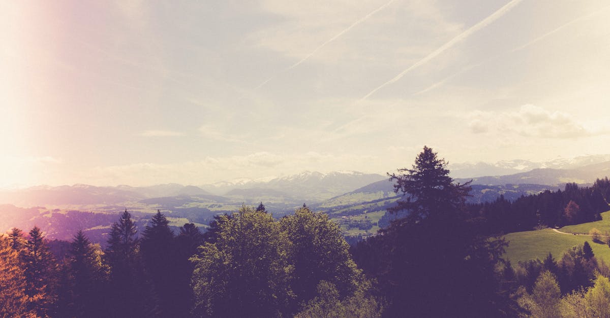 découvrez des aventures en plein air inoubliables à travers des activités palpitantes comme la randonnée, le camping, le kayak et bien plus encore. évadez-vous dans la nature et vivez des expériences enrichissantes en explorant des paysages époustouflants.