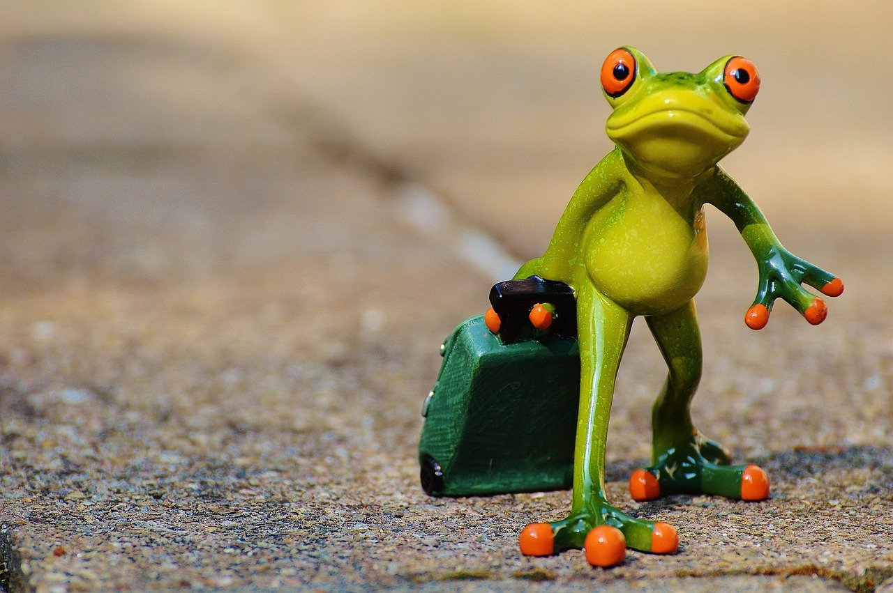 découvrez le monde avec passion grâce à nos conseils et inspirations de voyage. que vous rêviez d'aventures exotiques ou de séjours détente, trouvez ici des idées de destinations, des astuces pratiques et des récits captivants pour explorer la beauté de la planète.