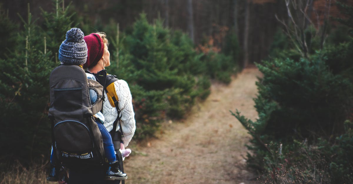découvrez les joies de la randonnée avec nos conseils et itinéraires adaptés à tous les niveaux. explorez des paysages époustouflants, améliorez votre fitness et reconnectez-vous avec la nature grâce à nos astuces pratiques et recommandations d'équipement.