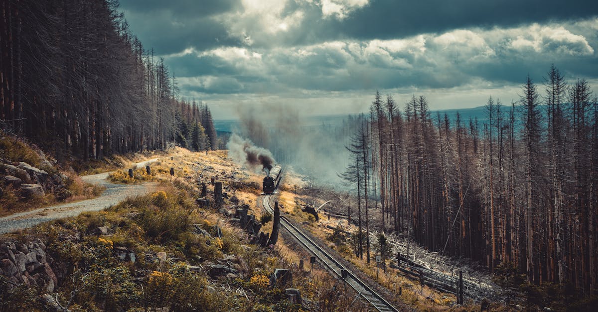 découvrez comment rendre vos voyages plus durables grâce à des astuces écoresponsables, des choix de destinations éthiques et des conseils pour minimiser votre empreinte carbone tout en explorant le monde.