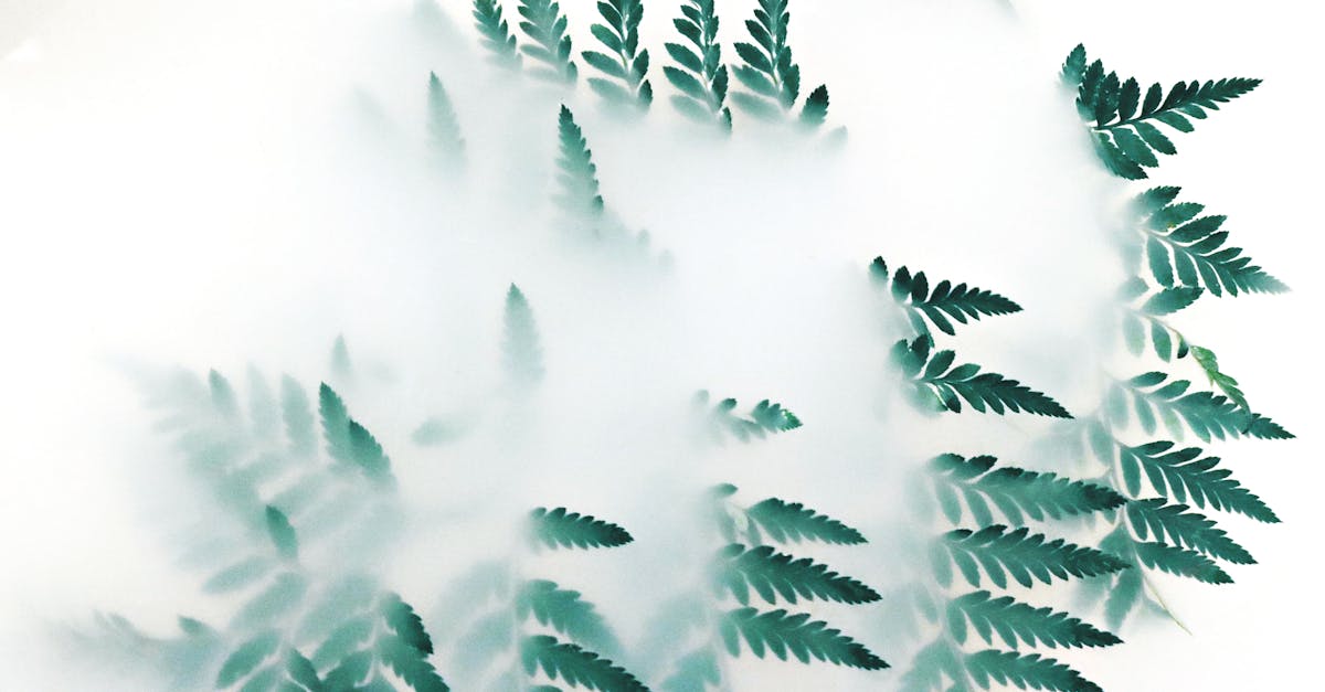 découvrez le monde fascinant de l'écologie, une science essentielle qui étudie les relations entre les êtres vivants et leur environnement. apprenez comment préserver notre planète et promouvoir un développement durable. explorez des solutions innovantes pour protéger la biodiversité et lutter contre le changement climatique.