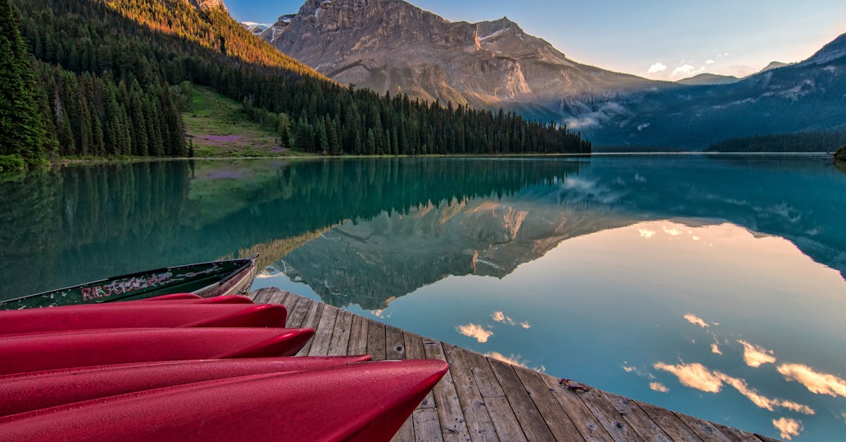 découvrez la beauté époustouflante des paysages naturels, où la tranquillité de la nature rencontre des panoramas à couper le souffle. explorez des montagnes majestueuses, des forêts verdoyantes et des rivières scintillantes dans un voyage captivant à travers les merveilles du monde naturel.
