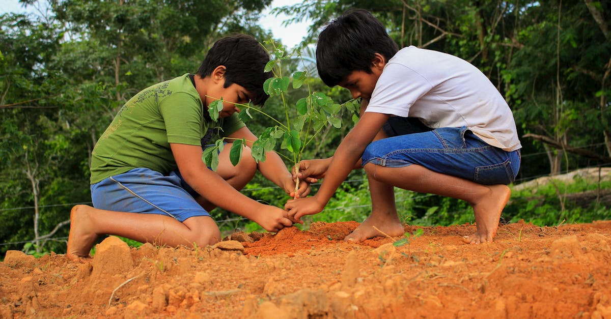 découvrez l'éducation écologique : un apprentissage essentiel pour sensibiliser les générations futures à la protection de notre planète, à la biodiversité et à des pratiques durables.