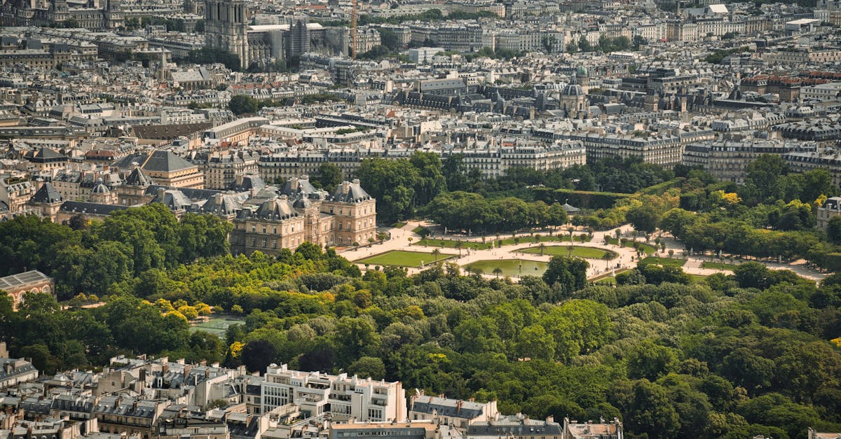 découvrez l'importance des espaces verts pour la biodiversité, le bien-être des citoyens et l'amélioration de la qualité de vie en milieu urbain. explorez nos conseils pour aménager et profiter de ces havres de paix.