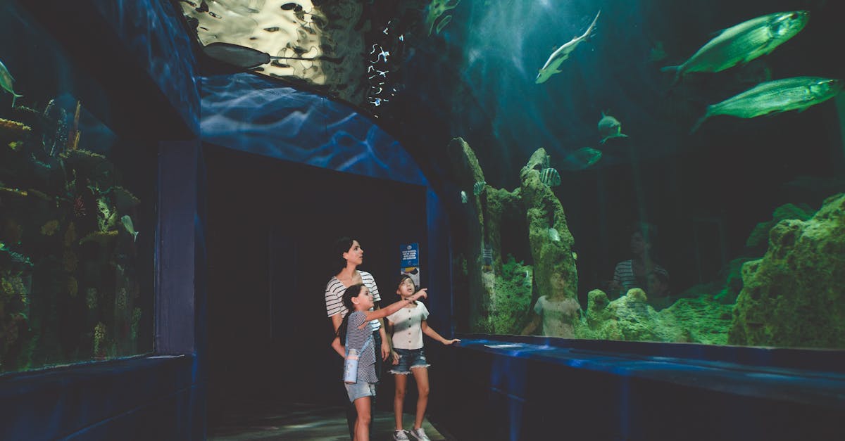 découvrez le voyage éducatif, une expérience unique qui allie aventure et apprentissage. explorez des destinations enrichissantes tout en développant vos connaissances et vos compétences grâce à des activités immersives et des rencontres culturelles.