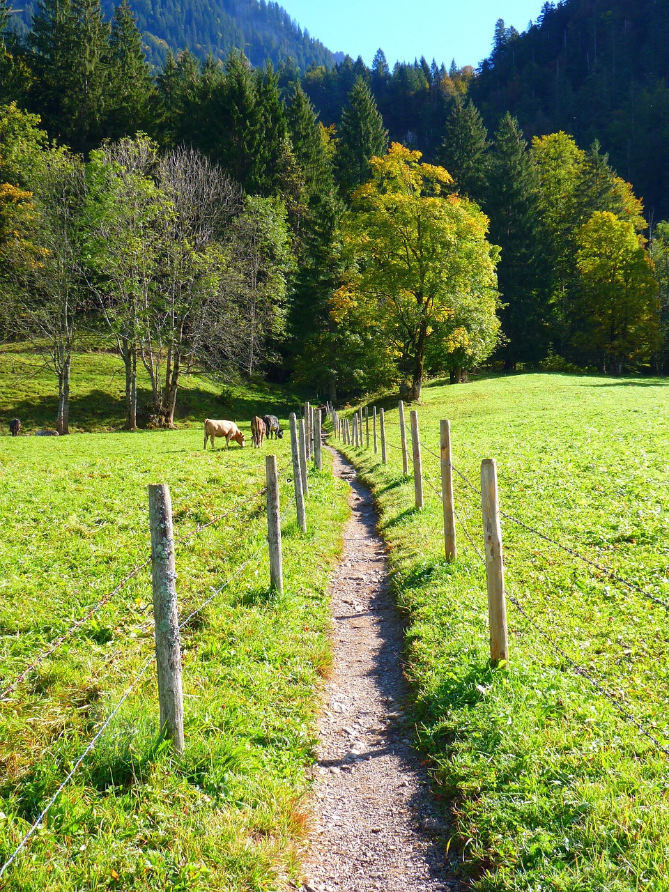 Destination inexplorée : découvrez des lieux fascinants hors des sentiers battus