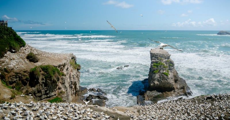 Les avantages du camping écologique pour un tourisme durable