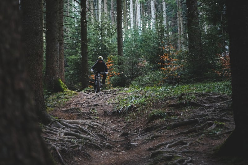 Balades à vélo : les meilleures itinéraires à explorer en 2023
