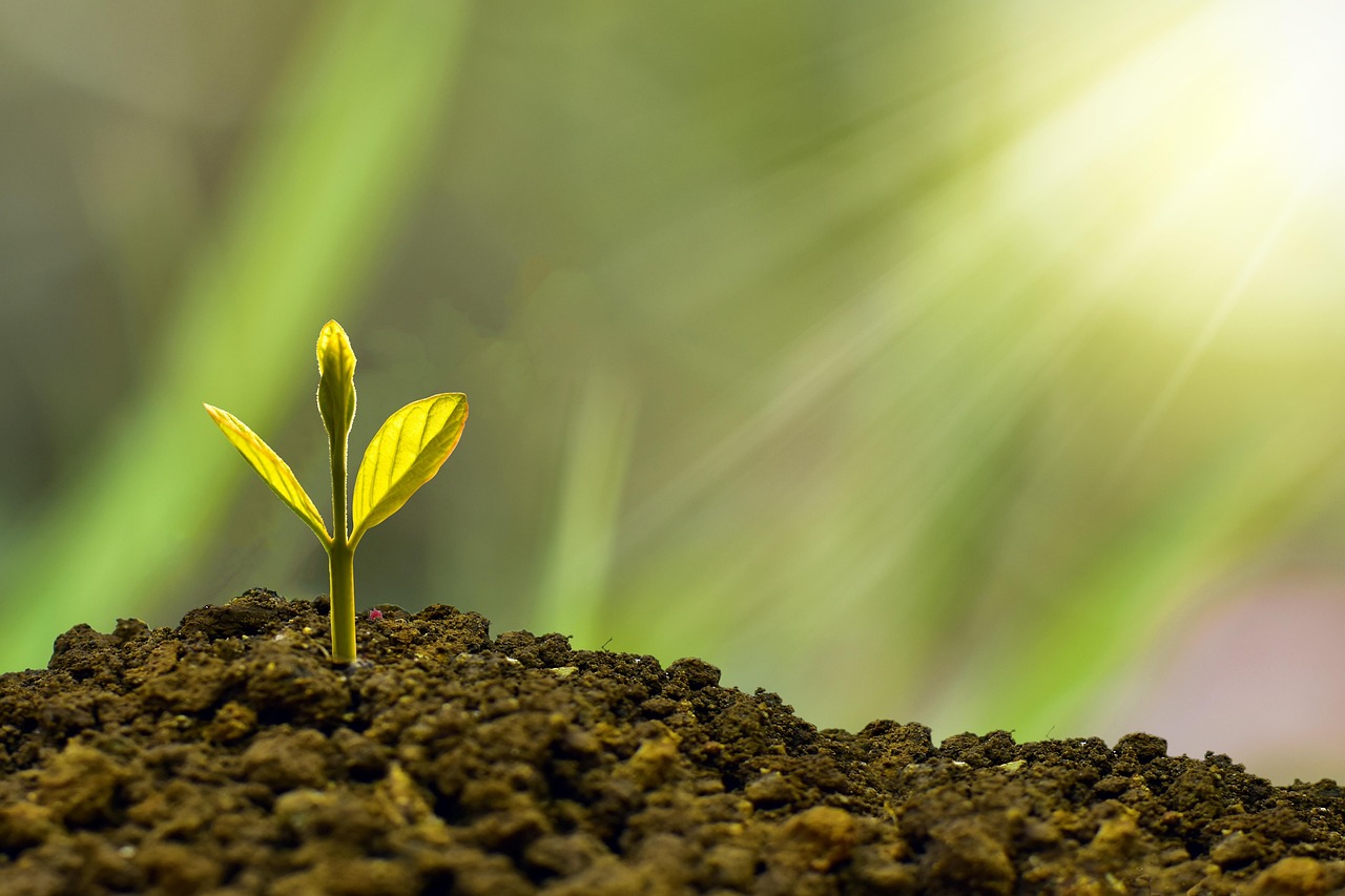 Économie collaborative : comment elle transforme notre manière de consommer