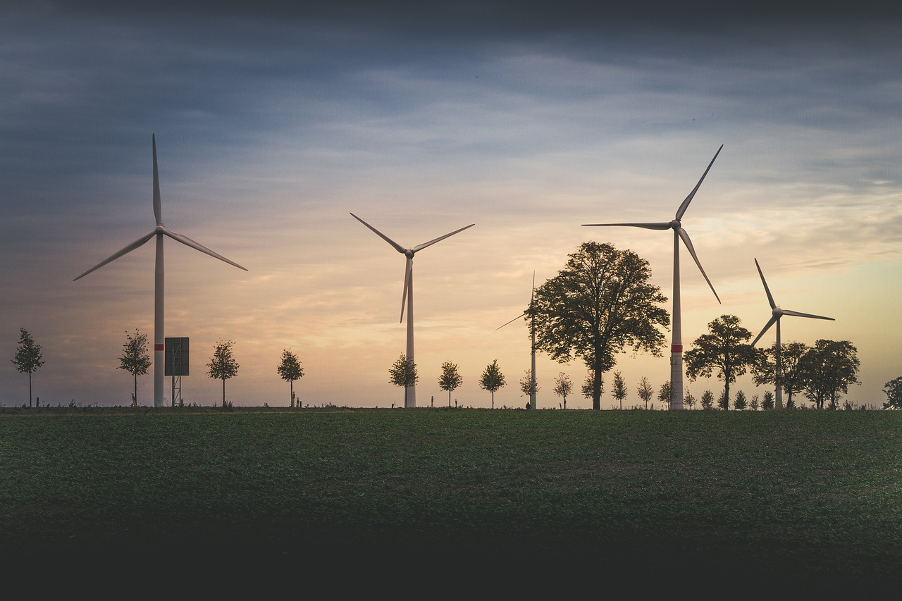 Sensibilisation à l’écologie : comprendre l’importance de notre impact environnemental