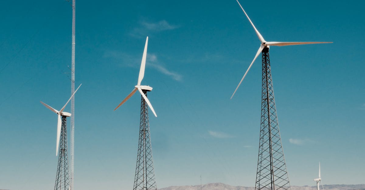 L’importance de l’innovation durable pour un avenir écologique