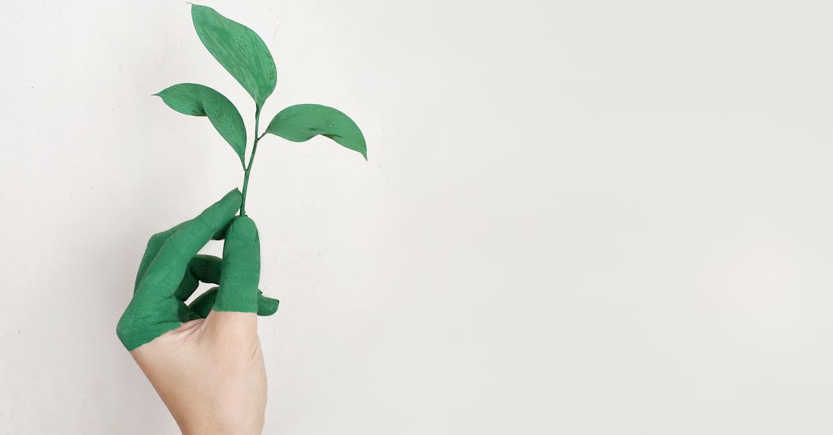 Découvertes respectueuses : vers une nouvelle approche durable