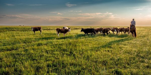 découvrez le nomadisme, un mode de vie axé sur la mobilité, la liberté et l’adaptation. explorez ses origines, ses formes modernes et les avantages d’un quotidien sans attaches fixes.