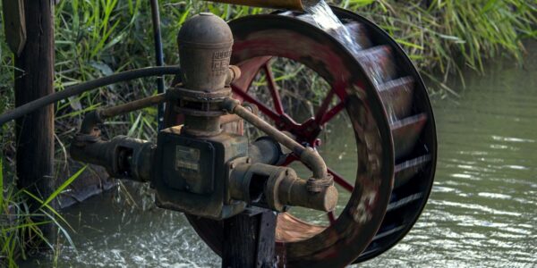 découvrez le tourisme durable : voyagez en respectant l'environnement, soutenez les communautés locales et préservez les ressources naturelles pour un avenir responsable.