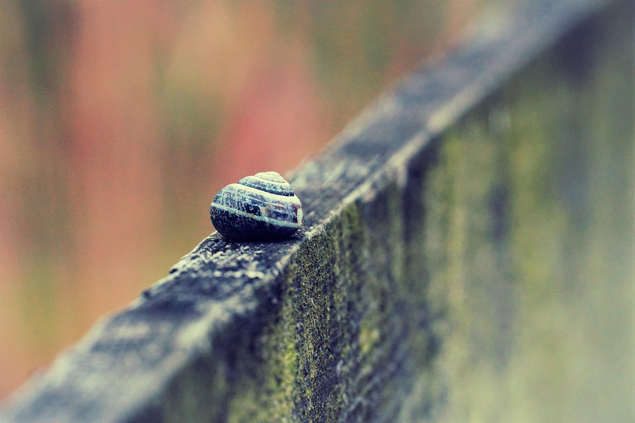 découvrez le slow travel, une approche de voyage qui privilégie la lenteur, l'immersion locale et la connexion authentique avec les cultures pour des expériences enrichissantes et durables.